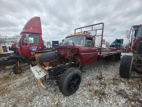 FORD F800