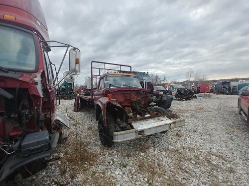 FORD F800