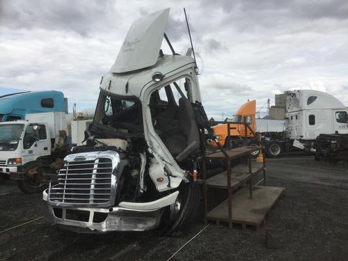 FREIGHTLINER CASCADIA 113