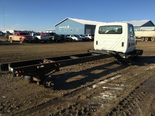 INTERNATIONAL DURASTAR (4300)