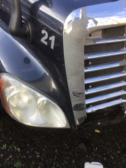 FREIGHTLINER CASCADIA 125