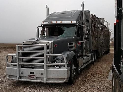 FREIGHTLINER CORONADO 132