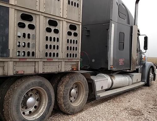 FREIGHTLINER CORONADO 132