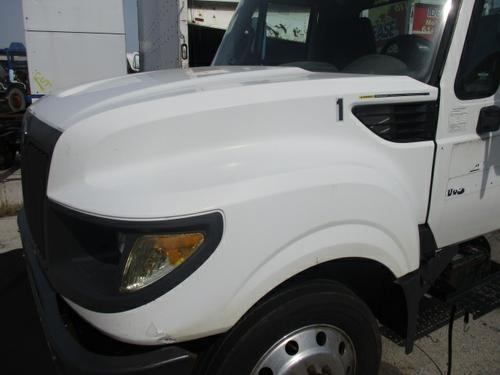 INTERNATIONAL TERRASTAR