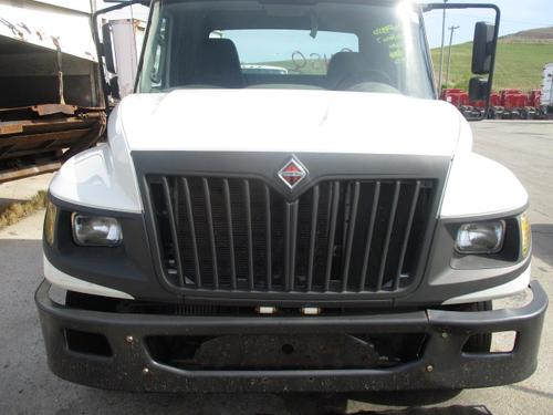 INTERNATIONAL TERRASTAR