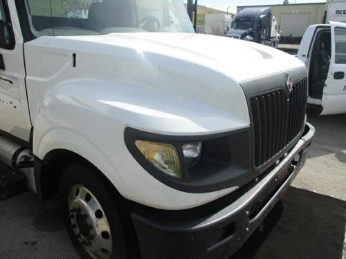 INTERNATIONAL TERRASTAR