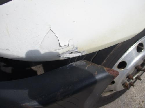 INTERNATIONAL TERRASTAR