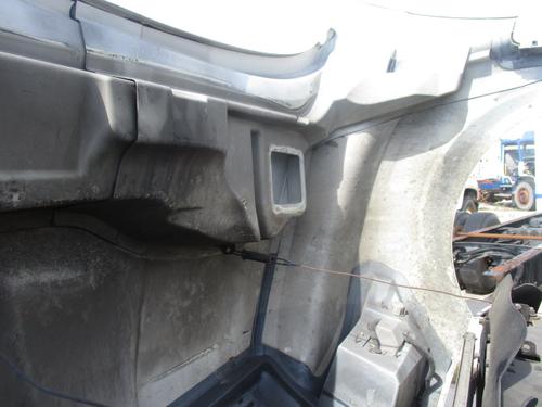 INTERNATIONAL TERRASTAR