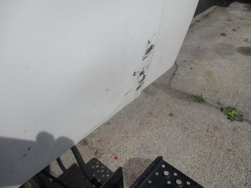 INTERNATIONAL TERRASTAR