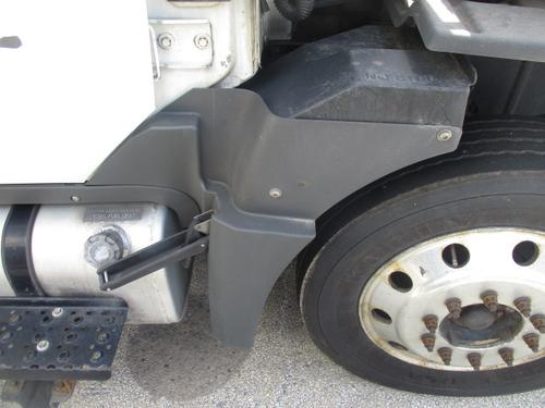 INTERNATIONAL TERRASTAR