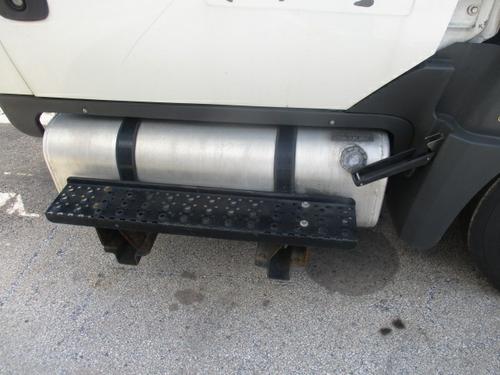 INTERNATIONAL TERRASTAR