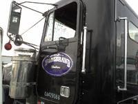 Door Assembly, Front FREIGHTLINER CLASSIC XL
