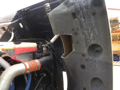 PETERBILT 365