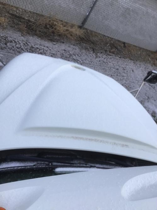 INTERNATIONAL PROSTAR 113