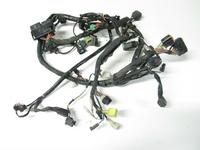 Wire Harness Suzuki VL800