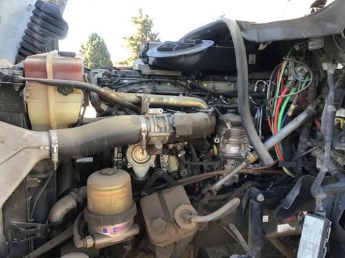 FREIGHTLINER CASCADIA 125