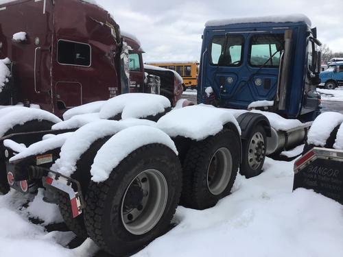 FREIGHTLINER CASCADIA 125BBC