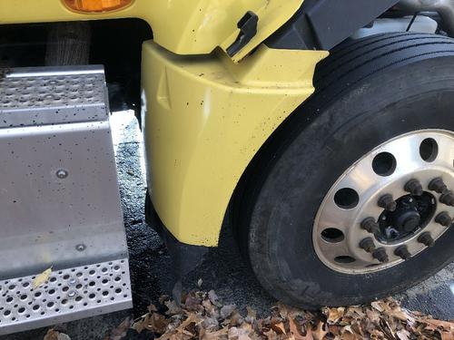 INTERNATIONAL PROSTAR