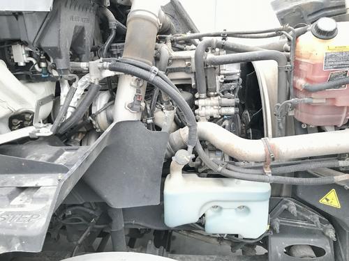 International PROSTAR