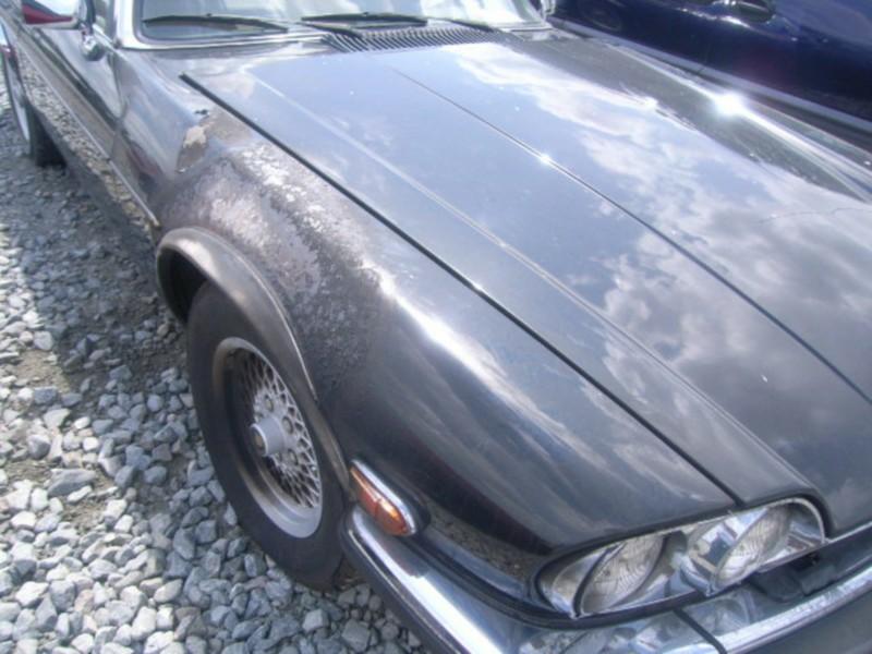 JAGUAR XJS