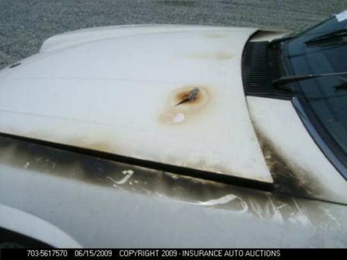 JAGUAR XJS