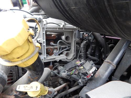 INTERNATIONAL Prostar