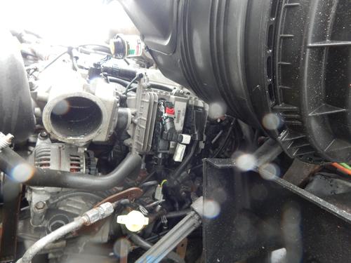 INTERNATIONAL Prostar
