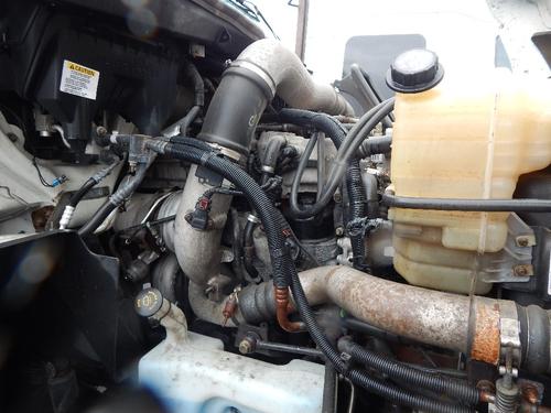 INTERNATIONAL Prostar