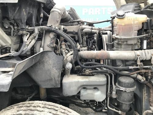 International PROSTAR