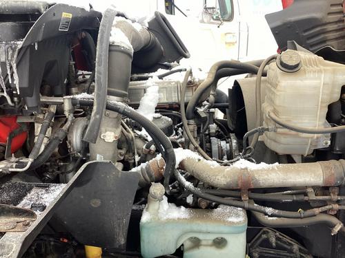 International PROSTAR
