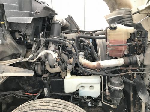 International PROSTAR