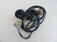 Wire Harness Honda NSS250