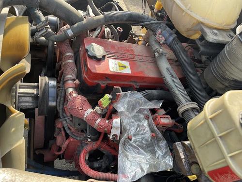 BLUE BIRD COMMERCIAL BUS