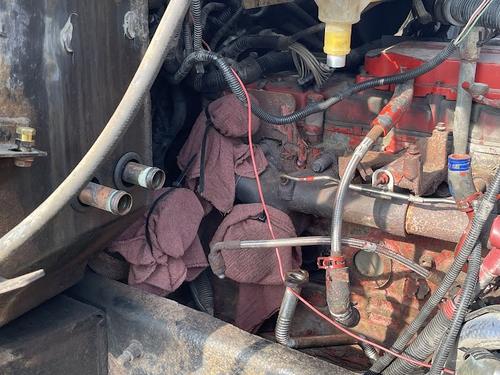 BLUE BIRD COMMERCIAL BUS