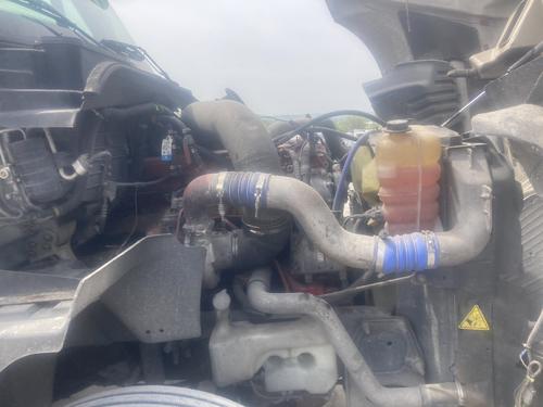 International PROSTAR