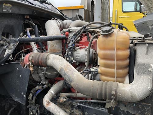 International PROSTAR