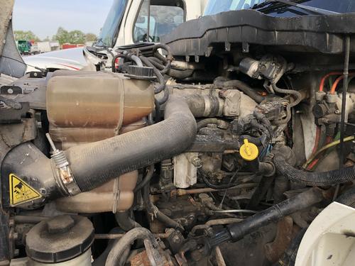 International DURASTAR (4300)