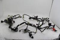 Wire Harness Honda NSS300
