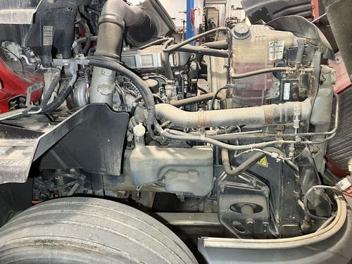 International PROSTAR