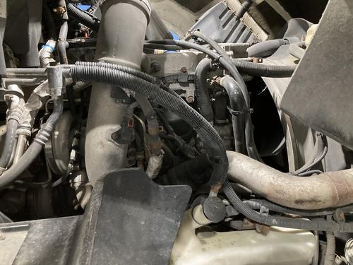 International PROSTAR