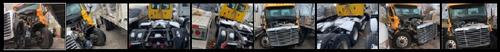 FREIGHTLINER CASCADIA 113BBC