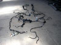 Body Wiring Harness FORD FOCUS