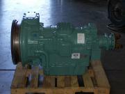 Pic 2487