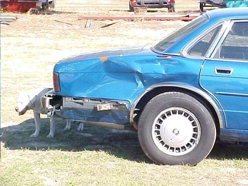JAGUAR XJ6