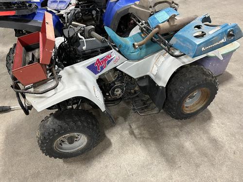 Kawasaki Bayou 220