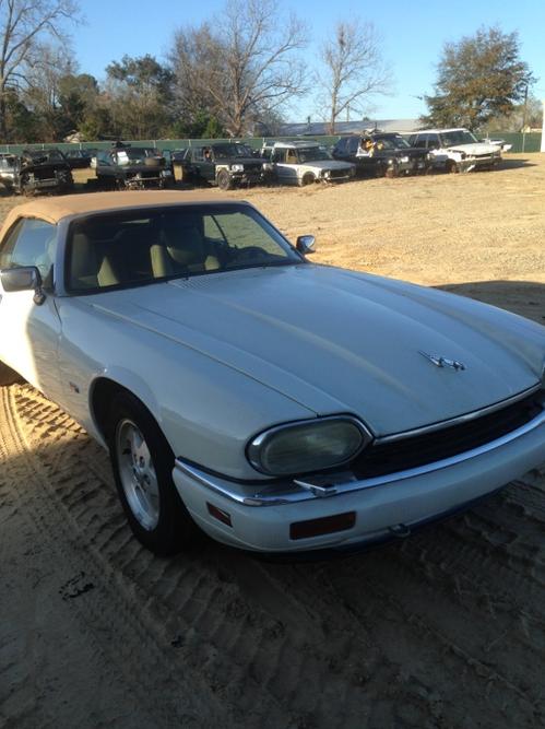 JAGUAR XJS