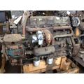 Engine Assembly FORD 7.8 Wilkins Rebuilders Supply