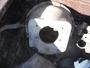 Active Truck Parts  FORD 477