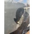 Door Assembly, Front CHEVROLET CAMARO Seminole Auto Salvage, Llc