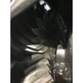ALLIANCE  Rears (Rear) thumbnail 2